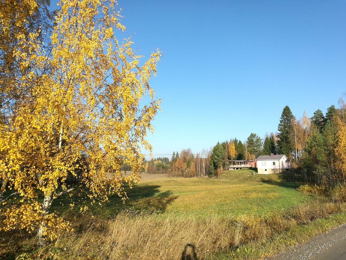 Tervalepikon Torpat Villa Sysmä Exterior photo