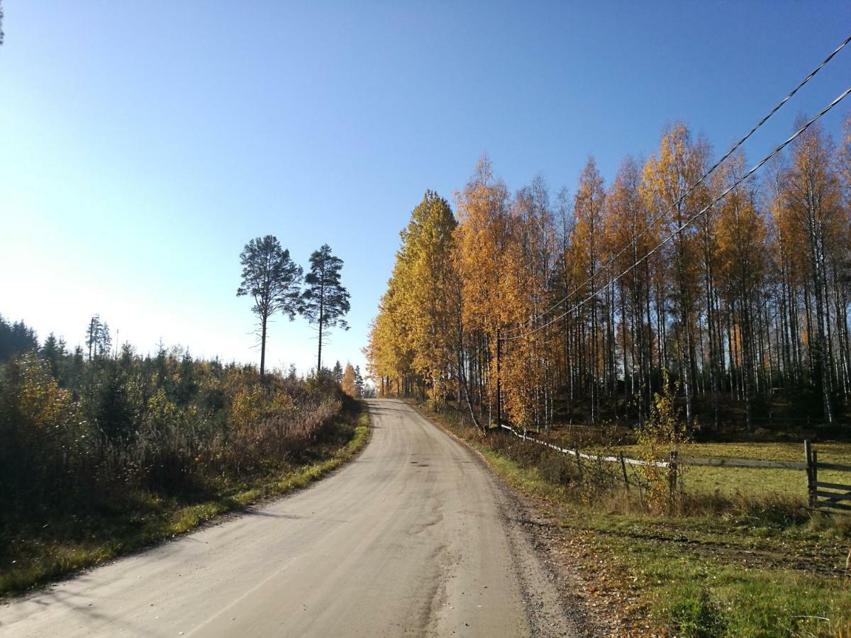 Tervalepikon Torpat Villa Sysmä Exterior photo