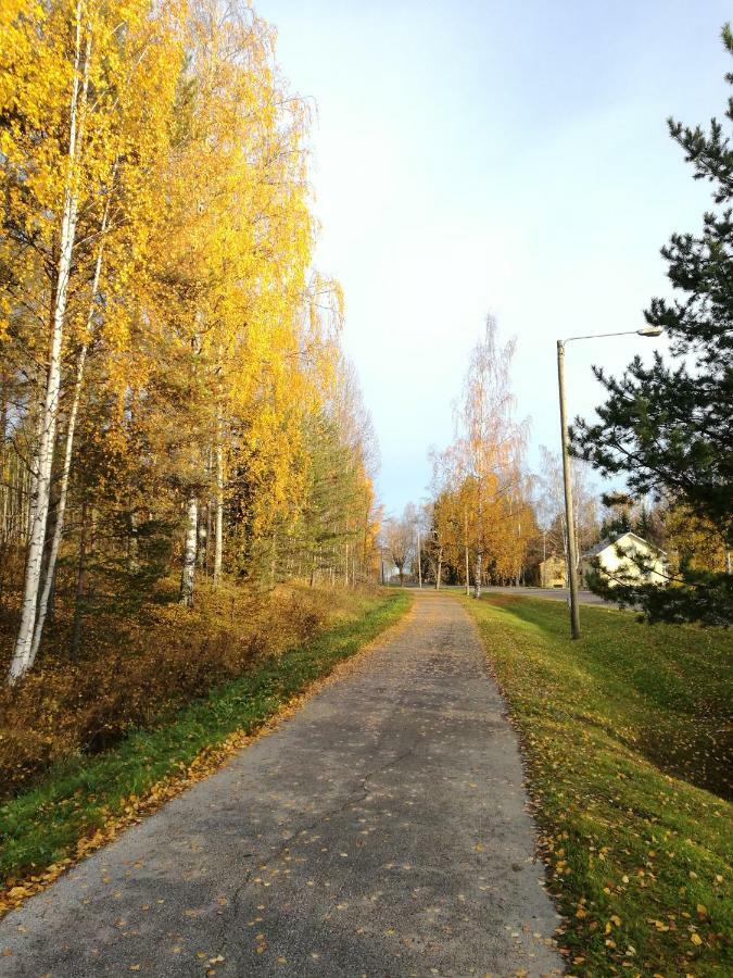 Tervalepikon Torpat Villa Sysmä Exterior photo